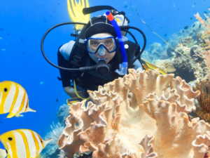Advanced Adventure Diver
