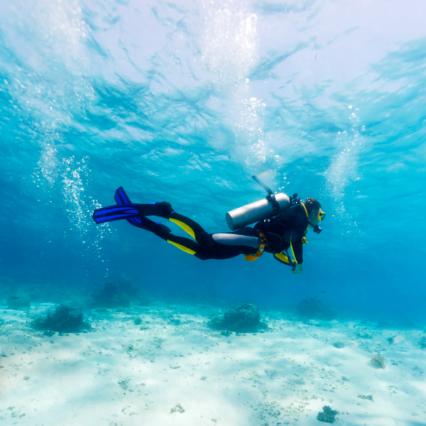 Scuba Diver