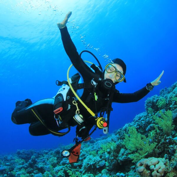 Scuba Diving 3