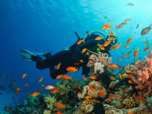 Scuba Diving 2