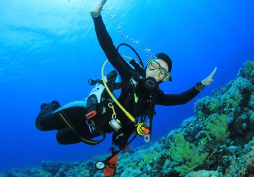Scuba Diving in Tribe Gate