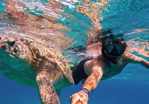 Scuba Diving at Turtle Beach