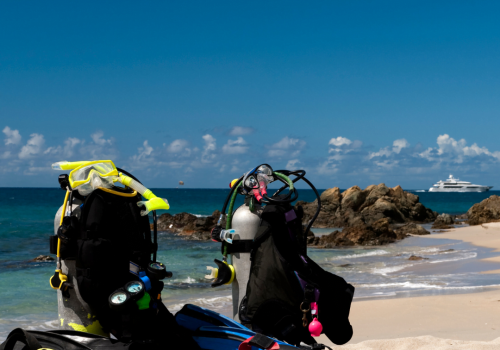 Shore Dive
